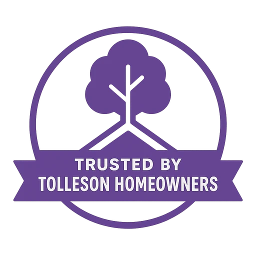 Trusted by Tolleson Homeowners